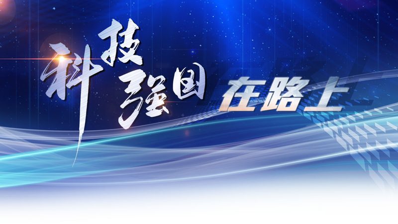 外贸网站技术外包：评价排名的背后逻辑与真实标准
